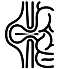 Hernia icon